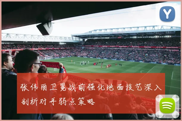 张伟丽卫冕战前强化地面技艺深入剖析对手弱点策略
